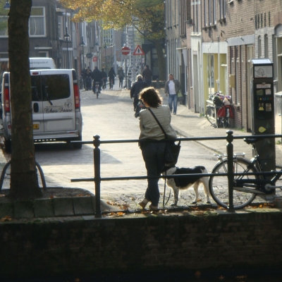 4316_het_beestje_half_gouda.jpg