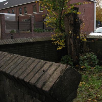 4342_paal_en_perk_half_gouda_24_11_2016.jpg