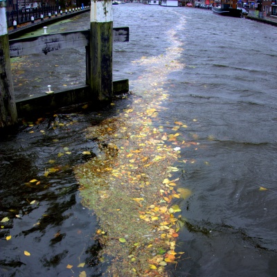 4344_wat_ons_drijft_.jpg