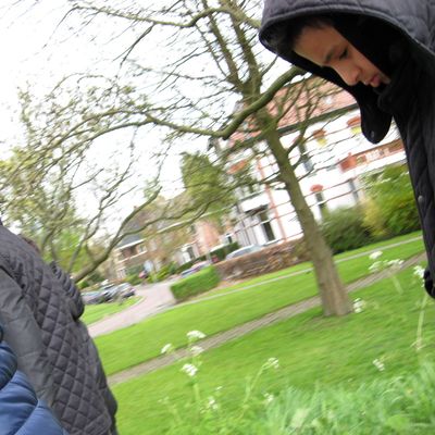 4494_de_basis_half_gouda_23_04_2017.jpg