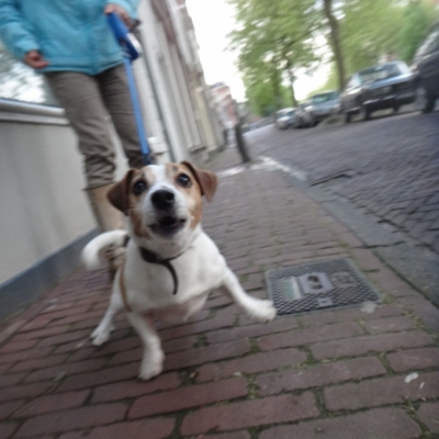 4500_wijsgerig_half_gouda.jpg