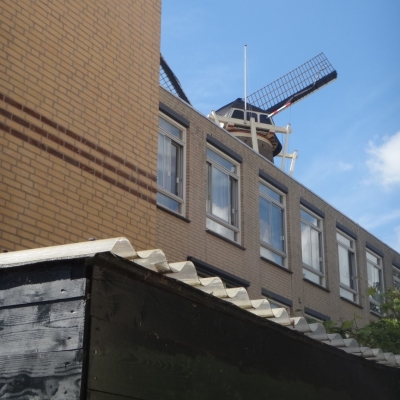 4571_naar_een_climax_half_gouda.jpg