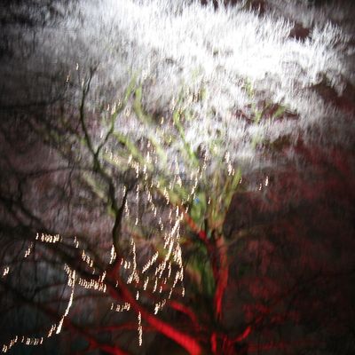 457_verlicht_verlicht_21_12.jpg