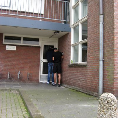 4585_omgeven_half_gouda_20_07_2017.jpg