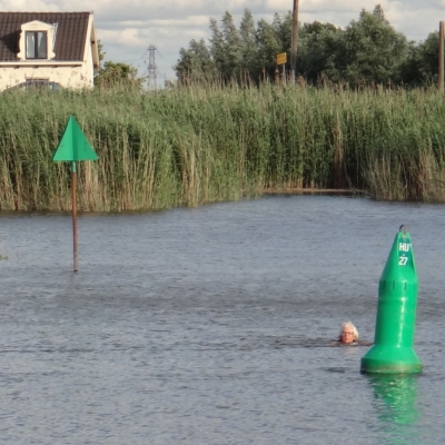 4643_als_waren_ze_niet_goed_wijs_half_gouda.jpg