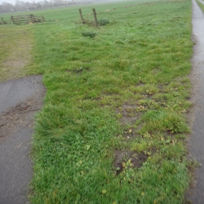 4771_zoektocht_half_gouda.jpg
