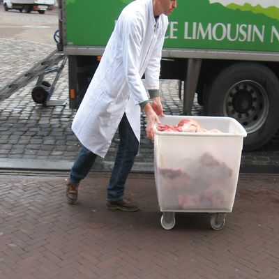 477_rode_archeologie_10_1.jpg