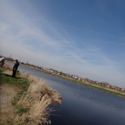 4785_zijn_paardenhoofd_half_gouda.jpg
