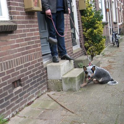 4838_aan_huis_half_gouda_15_03_2020.jpg