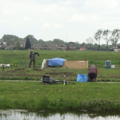 4868_het_zout_op_de_dis_half_gouda.jpg