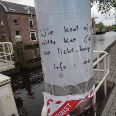 4887_wie_kent_de_kat_half_gouda.jpg