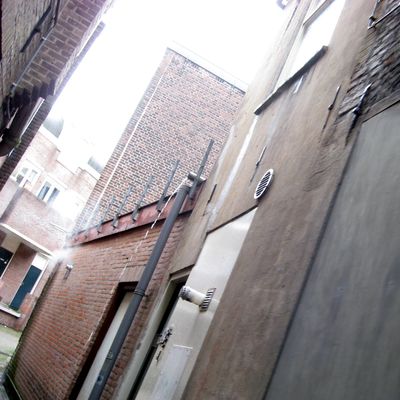 4923_liederen_half_gouda_07062020.jpg