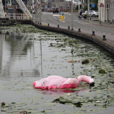 4967_canal_pride_half_gouda.jpg