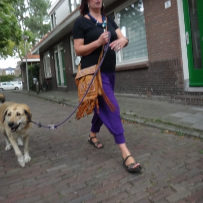 4973_een_draad_half_gouda.jpg