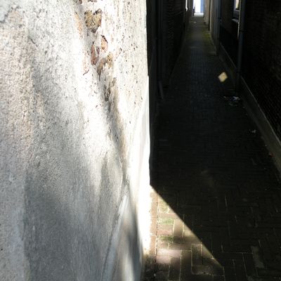 4990_het_schijnsel_half_gouda_13_08_2020.jpg