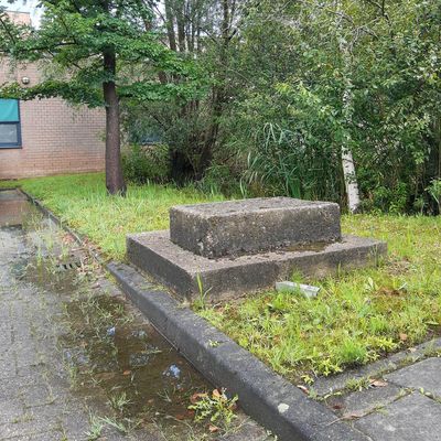 4998_een_standbeeld_half_gouda_20_08_2020.jpg