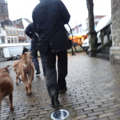 5066_onderbelicht_half_gouda.jpg