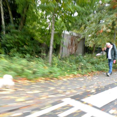 5071_een_bruid_half_gouda_05_11_2020.jpg