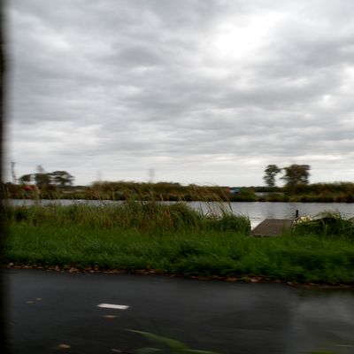 5081_op_zn_best_half_gouda_12_11_2020.jpg