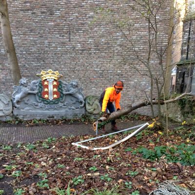 5100_leeuwen_zagen_half_gouda_13_12_2018.jpg