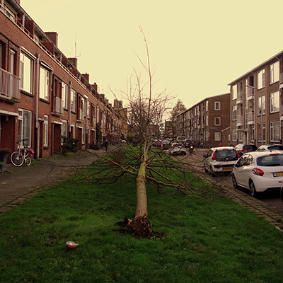 5129_belofte_in_de_wind__.jpg