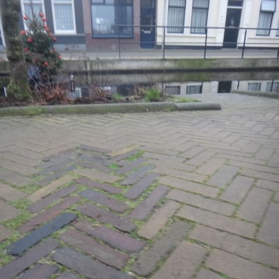 5130_patroon_half_gouda.jpg