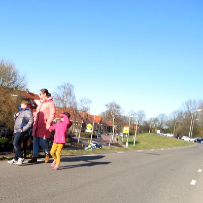 5196_van_het_platteland_half_gouda_07_03_2021.jpg