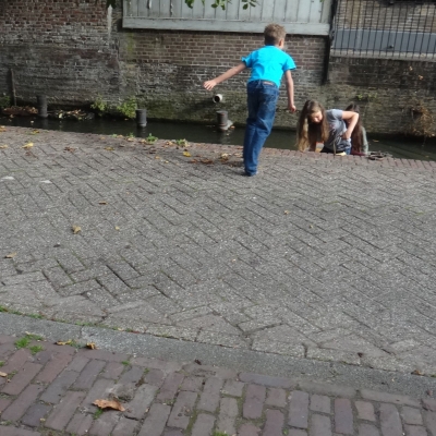 5209_gefopt_half_gouda.jpg