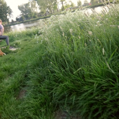 5238_herik_misschien_half_gouda.jpg