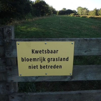 5241_bloemrijk_half_gouda.jpg