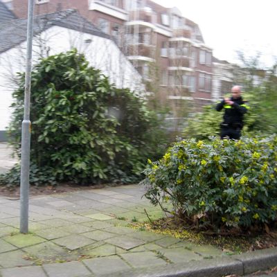 5246_iets_mis_half_gouda_02_05_2019.jpg