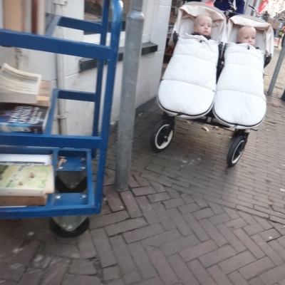 5256_haikeus22_half_gouda.jpg