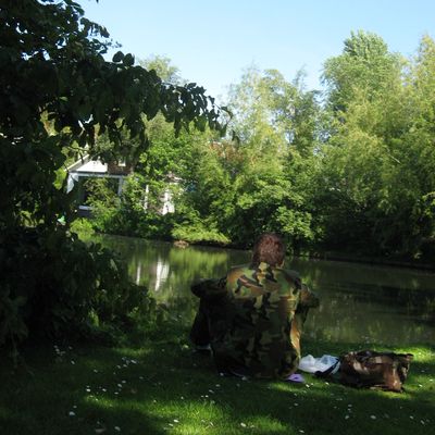 5299_moest_zien_half_gouda_30_06_2019.jpg