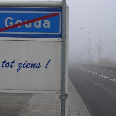 532_neem.jpg