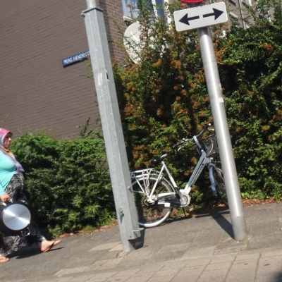 5333_naar_omstandigheden_half_gouda.jpg