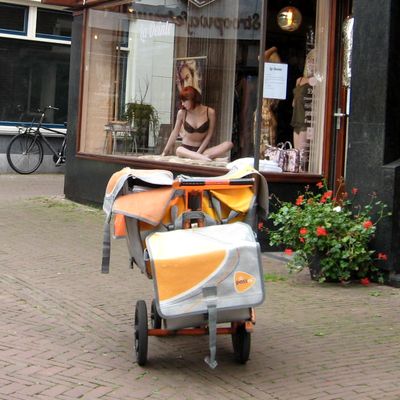 5385_een_post_stuk_half_gouda_16_09_2021.jpg