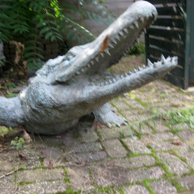 5403_de_grens_half_gouda_10_10_2019.jpg