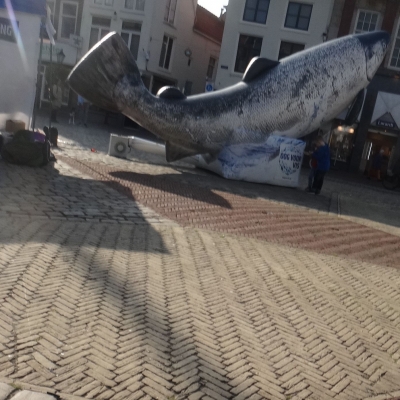5409_haakje_half_gouda.jpg