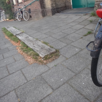 5438_filmaanbod_half_gouda.jpg