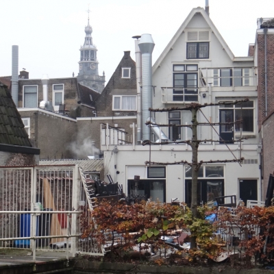 5449_zelfkant_half_gouda.jpg