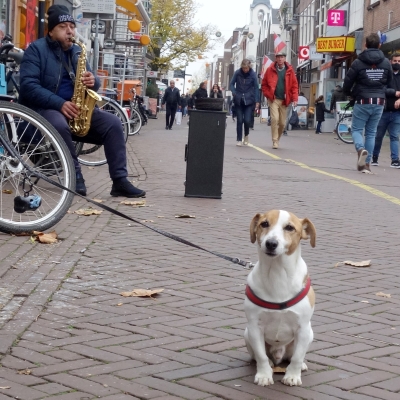 5483_his_masters_voice.jpg
