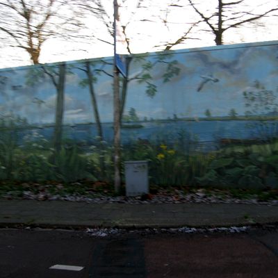 5485_in_de_maling_half_gouda_26_12_2021.jpg