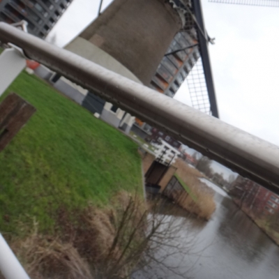 5495_plaatje_half_gouda.jpg
