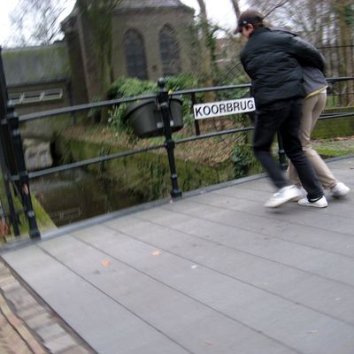 5518_vogel_gevangen_half_gouda_27_01_2022.jpg