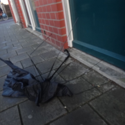 5522_spinnenpootjes_half_gouda.jpg
