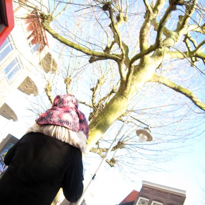 5535_verbaasd_half_gouda_13_02_2022.jpg