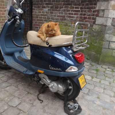 5540_haikeus37_half_gouda.jpg