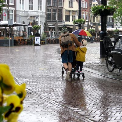 5647_de_tongen_half_gouda_05062022.jpg
