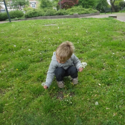 5649_voor_de_wind_half_gouda.jpg