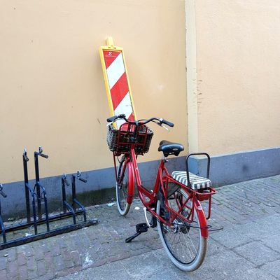 5662_post_in_half_gouda_11_06_2022.jpg
